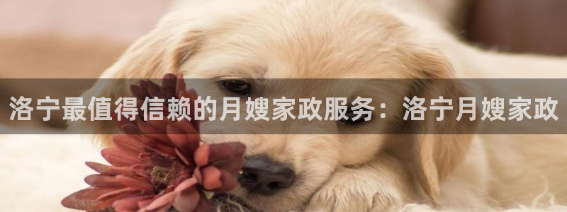 杏悦地址