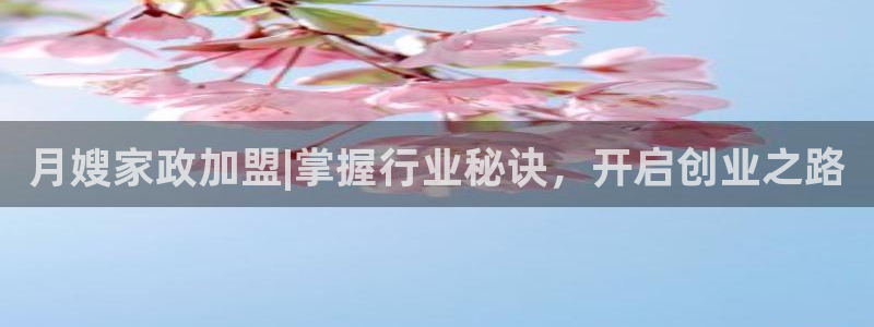 杏悦平台代理怎么做