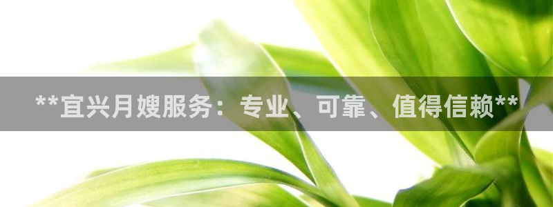 杏悦平台代理怎么做