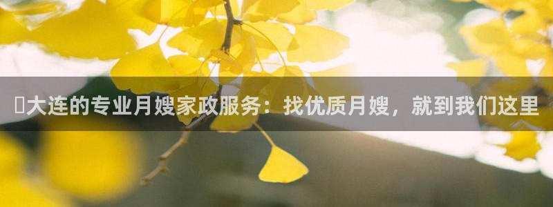 杏悦平台代理多少钱
