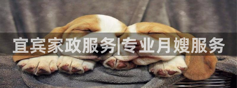 杏悦总代理