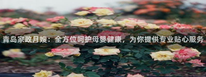杏悦平台代理怎么做赚钱