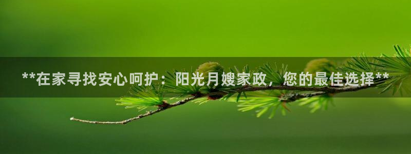 杏悦平台代理怎么样