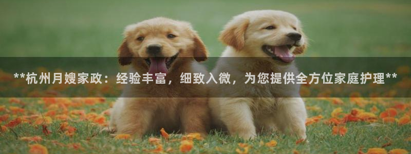 杏悦平台开户地址怎么改