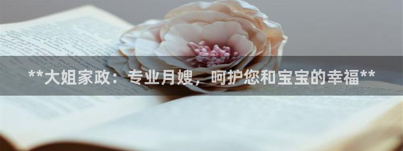 杏悦平台代理注册多少钱