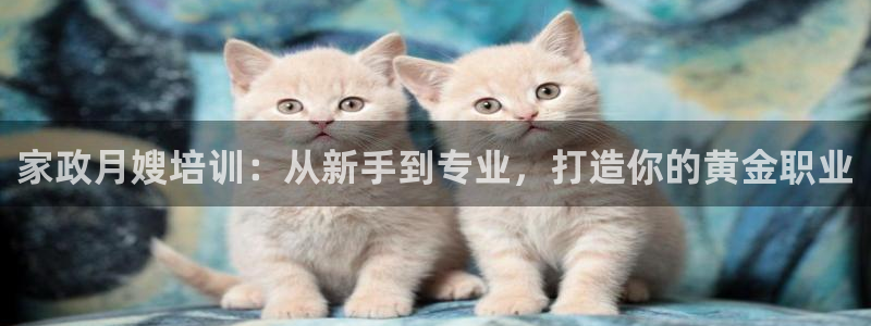 杏悦平台代理注册