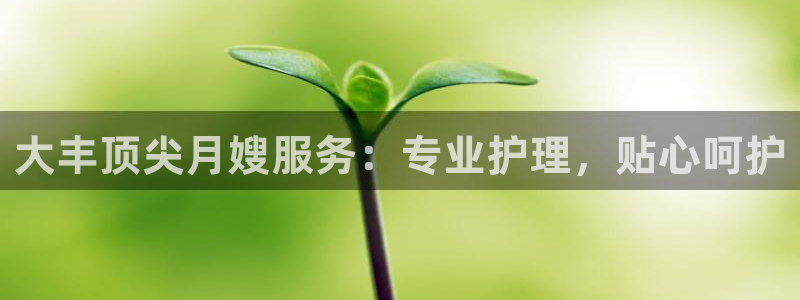 杏悦平台登录地址在哪里
