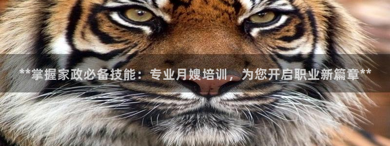 杏悦官网注册信息查询