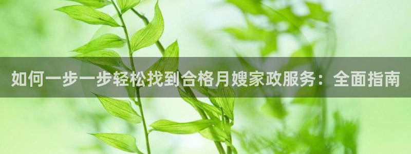 杏悦平台代理多少钱