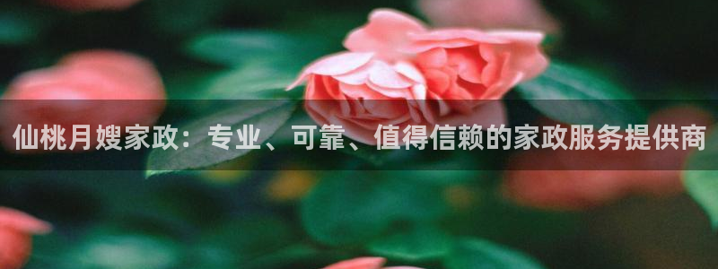 杏悦平台开户地址