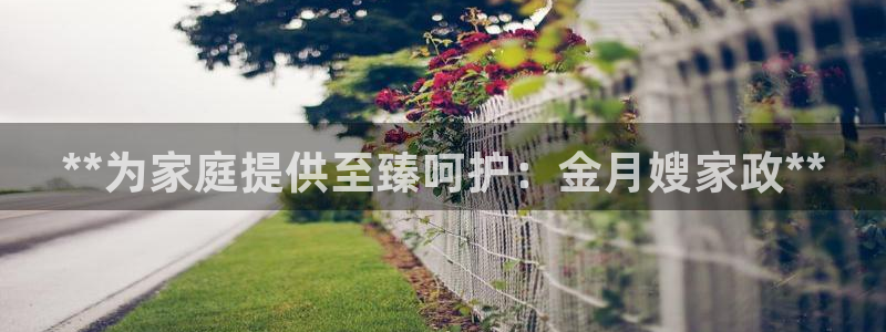 杏悦平台官网注册