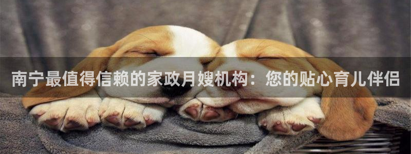 杏悦官网注册信息是什么