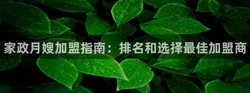 杏悦平台代理怎么做的