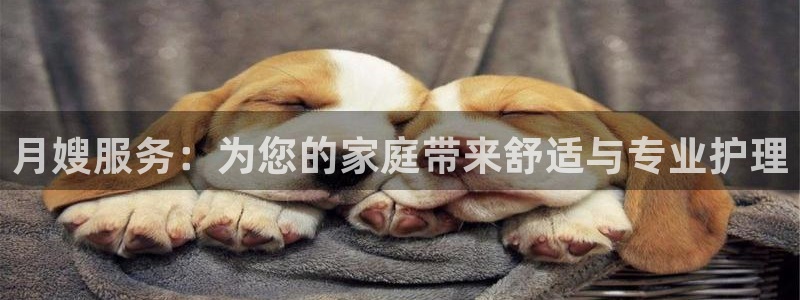杏悦平台登录网址是多少