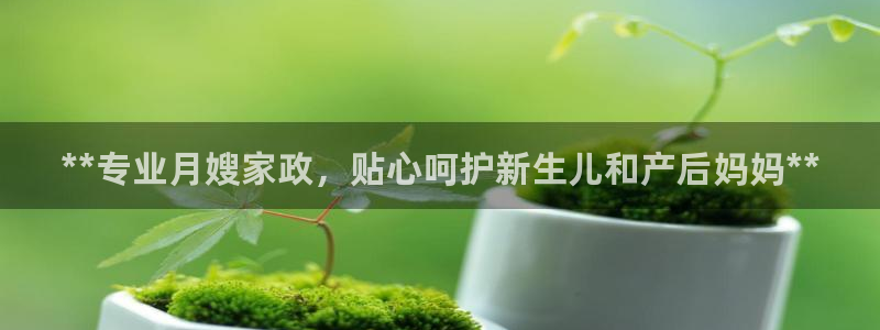 杏悦官方平台官网入口