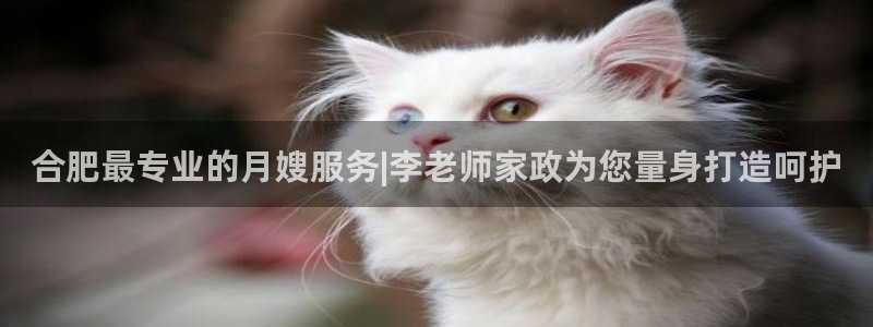 杏悦平台开户地址