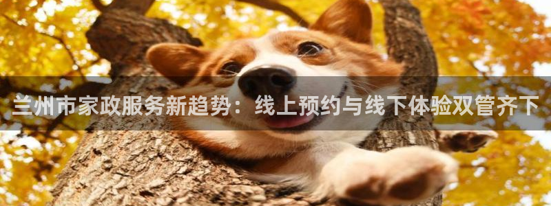 杏悦官网登录