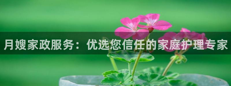 杏悦平台公司介绍