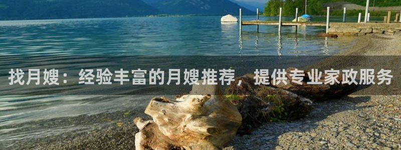 杏悦平台公司介绍