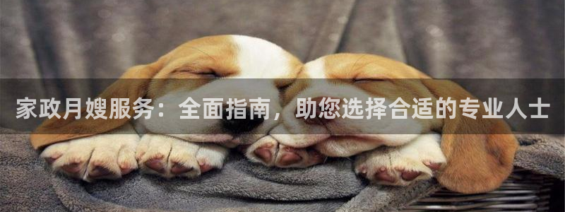 杏悦平台代理怎么做