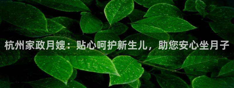 杏悦娱乐注册平台