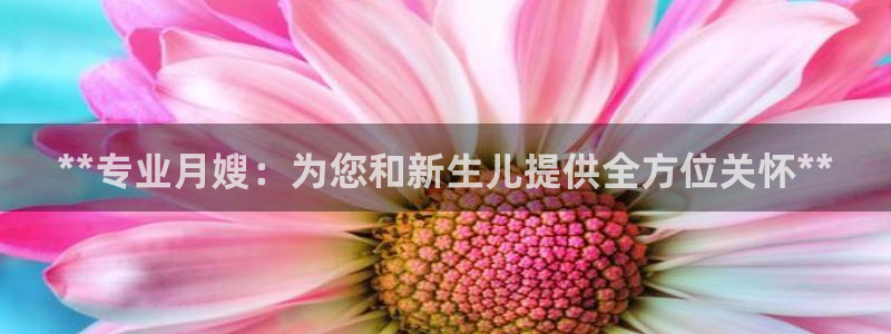 杏悦官网注册信息在哪里看
