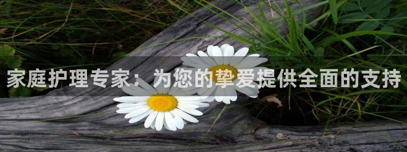 杏悦平台注册地址在哪里