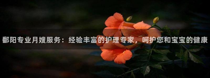 杏悦平台主管