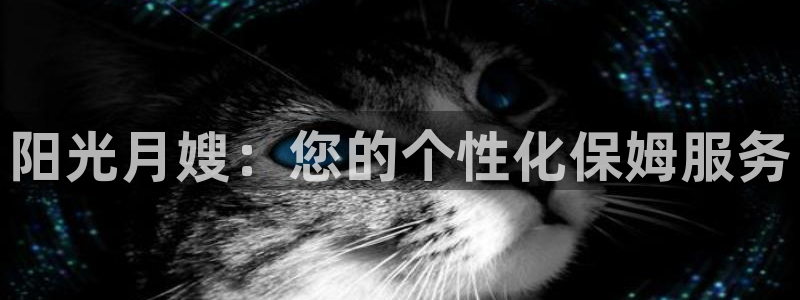 杏悦主管