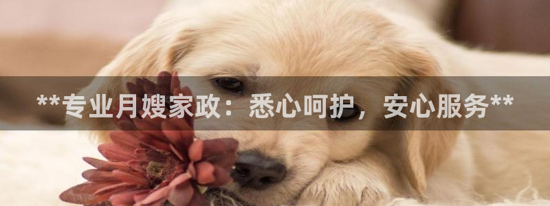 杏悦官方平台是正品吗知乎
