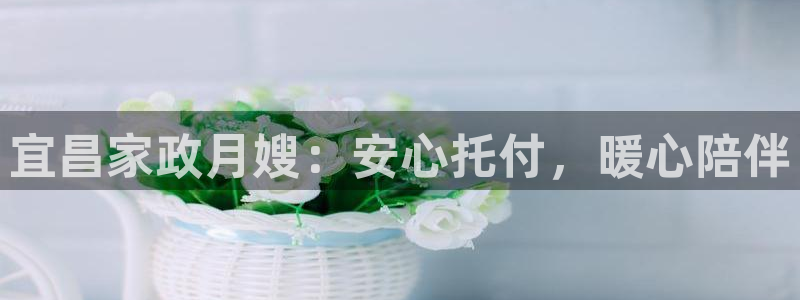 杏悦平台代理