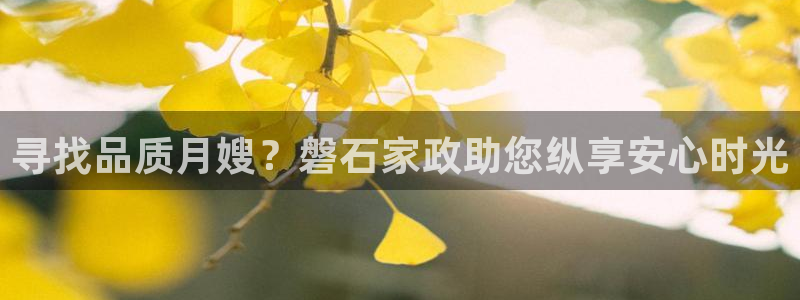 杏悦平台代理怎么赚钱