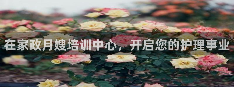杏悦是什么平台