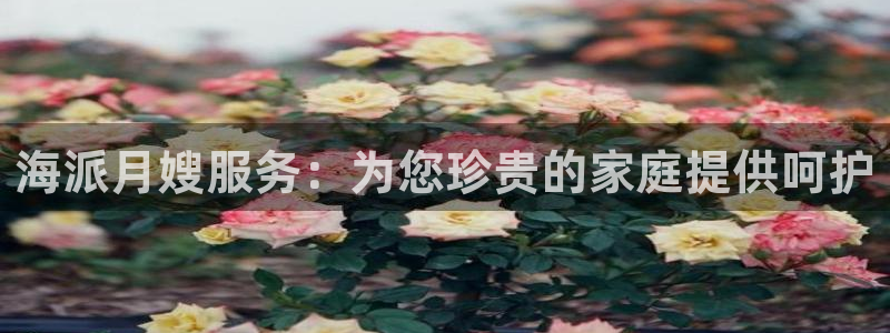 杏悦平台代理怎么样