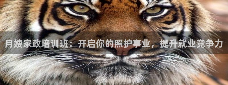 杏悦平台可靠吗可信吗知乎