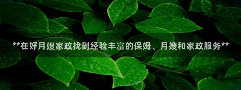 杏悦官方平台官网入口