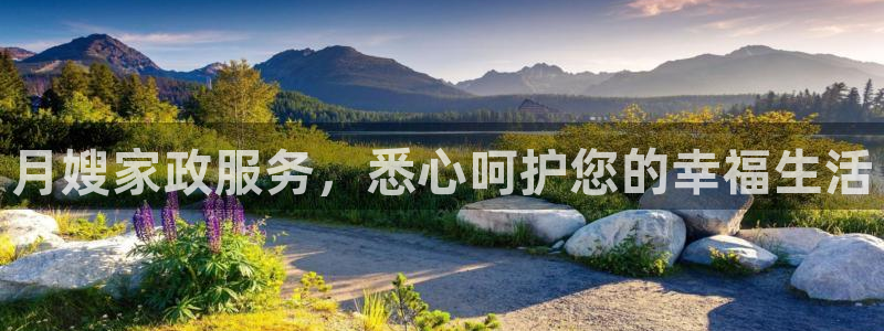 杏悦平台代理怎么赚钱