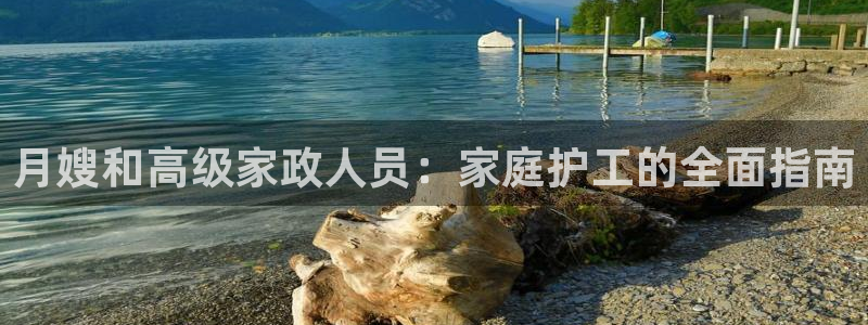杏悦平台如何