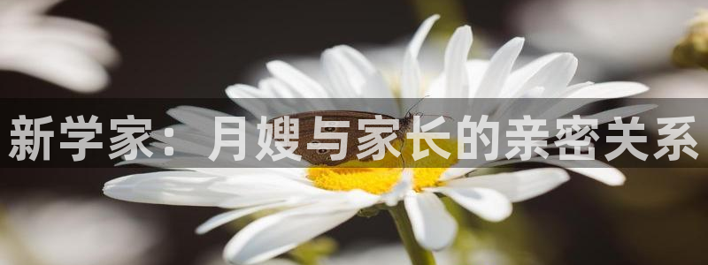 杏悦登入