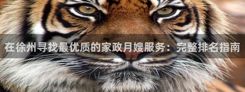 杏悦平台代理怎么样赚钱