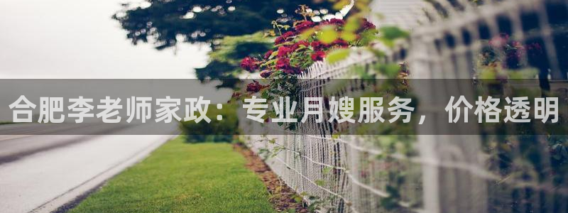 杏悦是什么平台