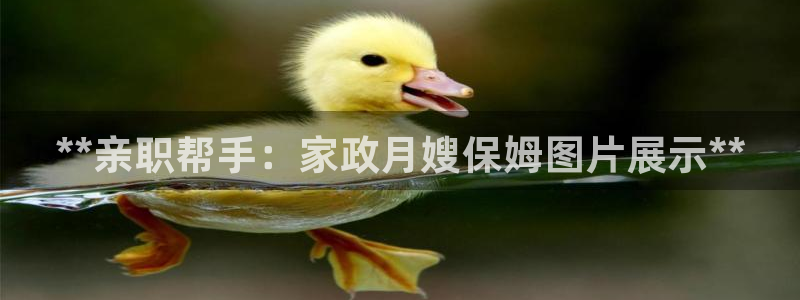 杏悦平台可靠吗