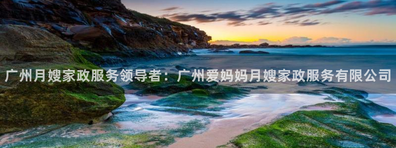 杏悦官方平台官网入口