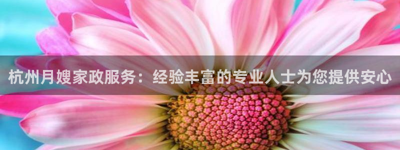 杏悦平台代理怎么做的