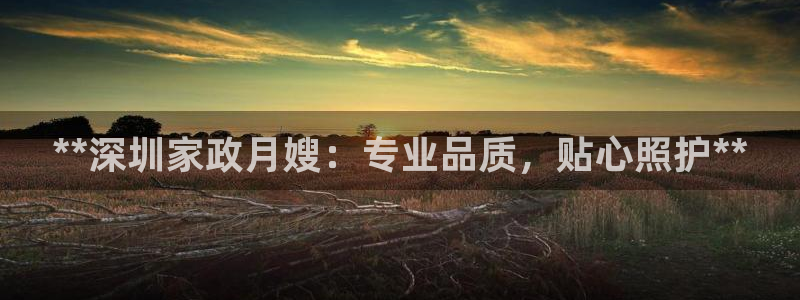 杏悦平台代理怎么样啊
