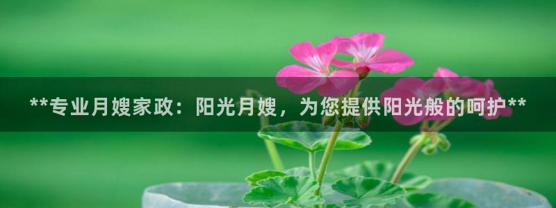 杏悦平台招商怎么样