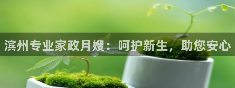杏悦1招商地址
