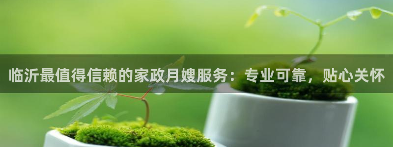杏悦地址