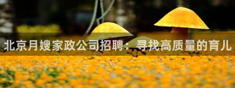 杏悦平台开户地址是什么