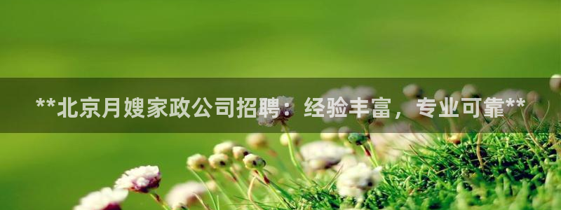 杏悦平台开户地址